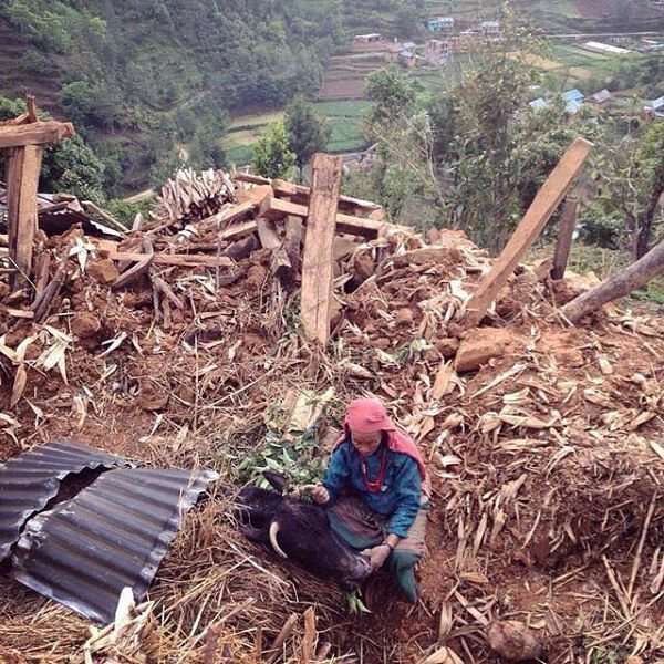Nepal farmer