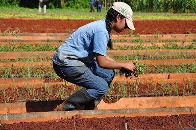 Weed-control-on-Cuba-organic-farm_Owen-Roberts