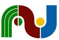 paj paj