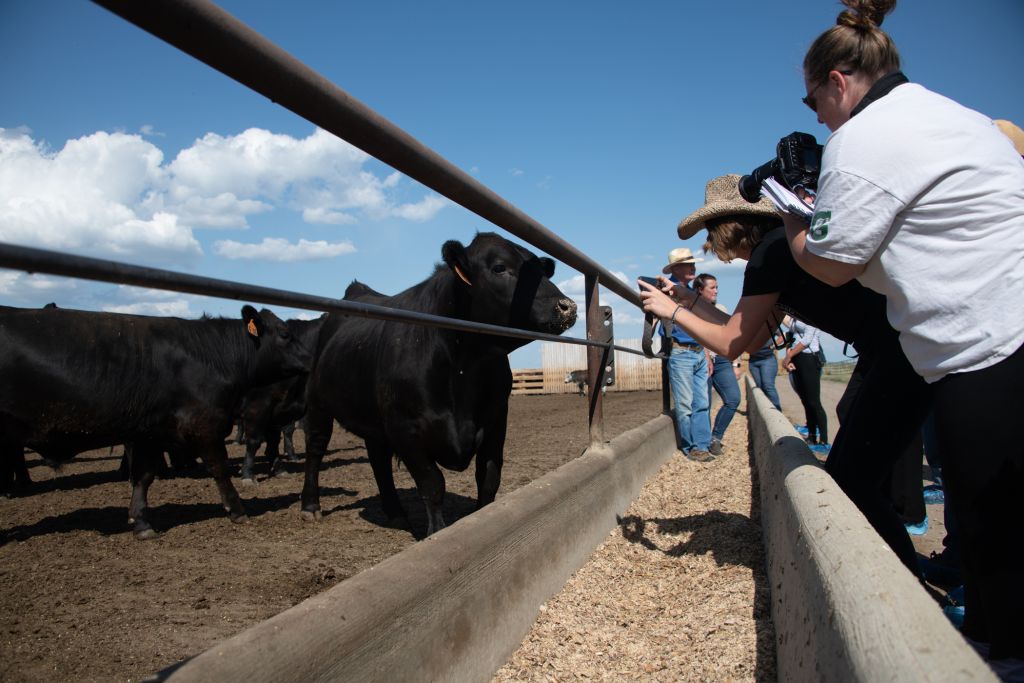 Chaque guilde membre de l'IFAJ en règle peut soumettre un candidat pour le prix IFAJ/Alltech Young Leader. La date limite de dépôt des candidatures est fixée au 1er mars 2024. Les candidatures seront bientôt disponibles en ligne.